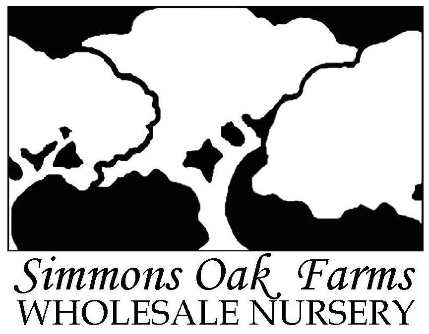 Simmons Tree Farms