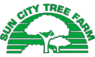 Sun City Tree Farm