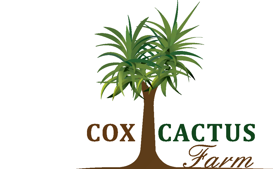 Cox Cactus Farm